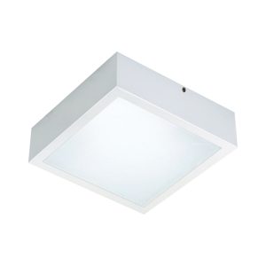AL0330 - BCO