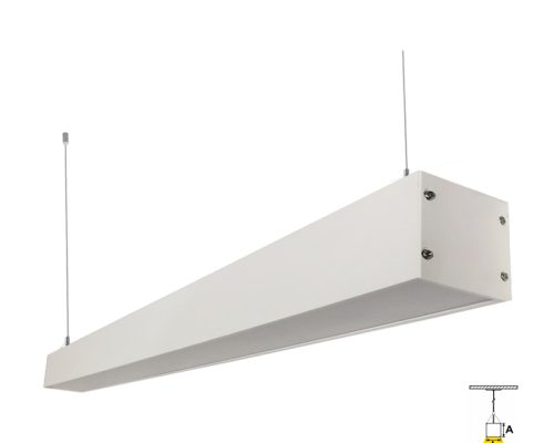 AL0446 - BCO