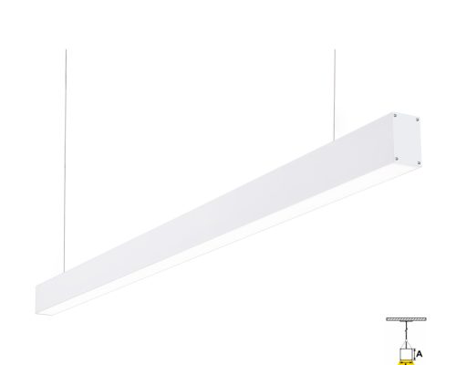 AL0448 - BCO