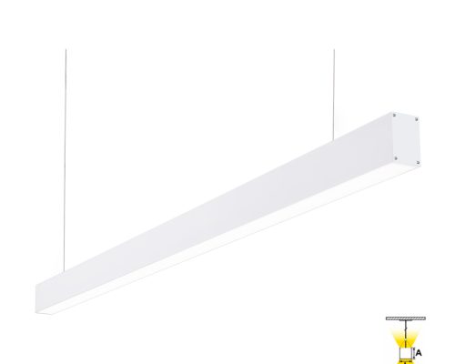 AL0449 - BCO