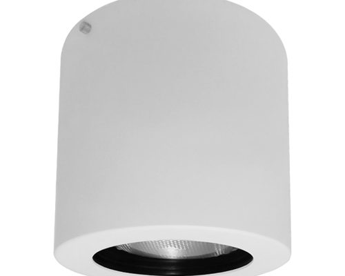 AL3091 - PAR30 - BCO_PTO
