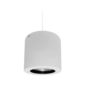 AL4091 - PAR 30 - BCO