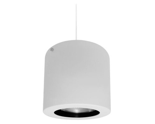 AL4091 - PAR 30 - BCO