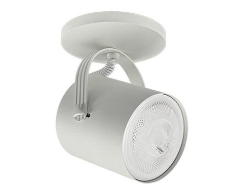 AL5001 - PAR30 - BCO